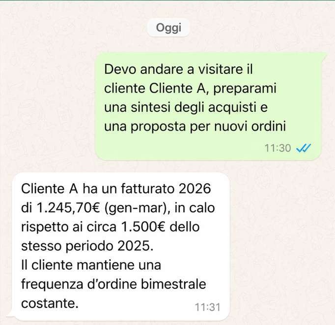 Risposta di esempio con fatturato, confronto temporale e frequenza d’ordine